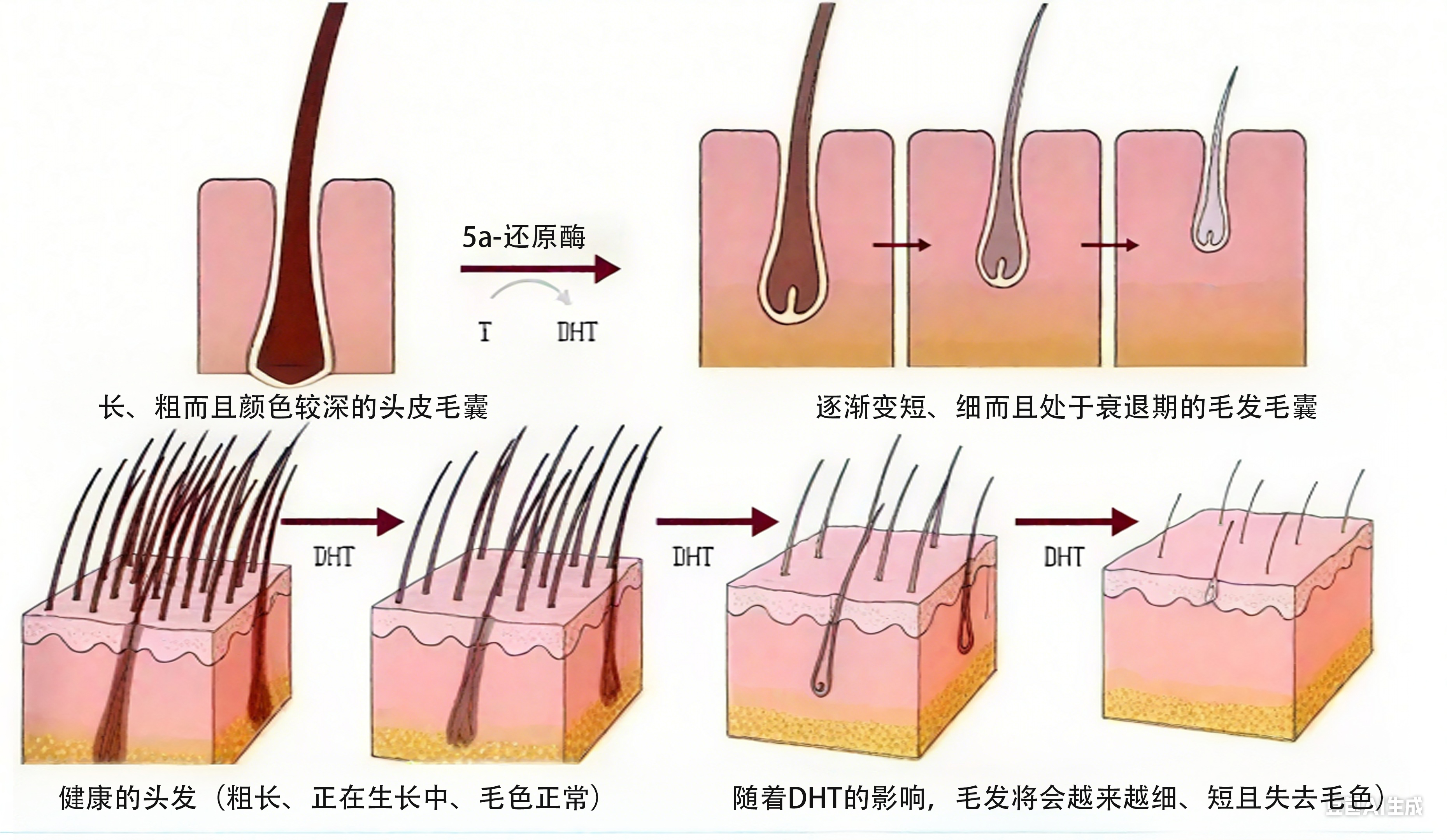 頭發護理.jpg
