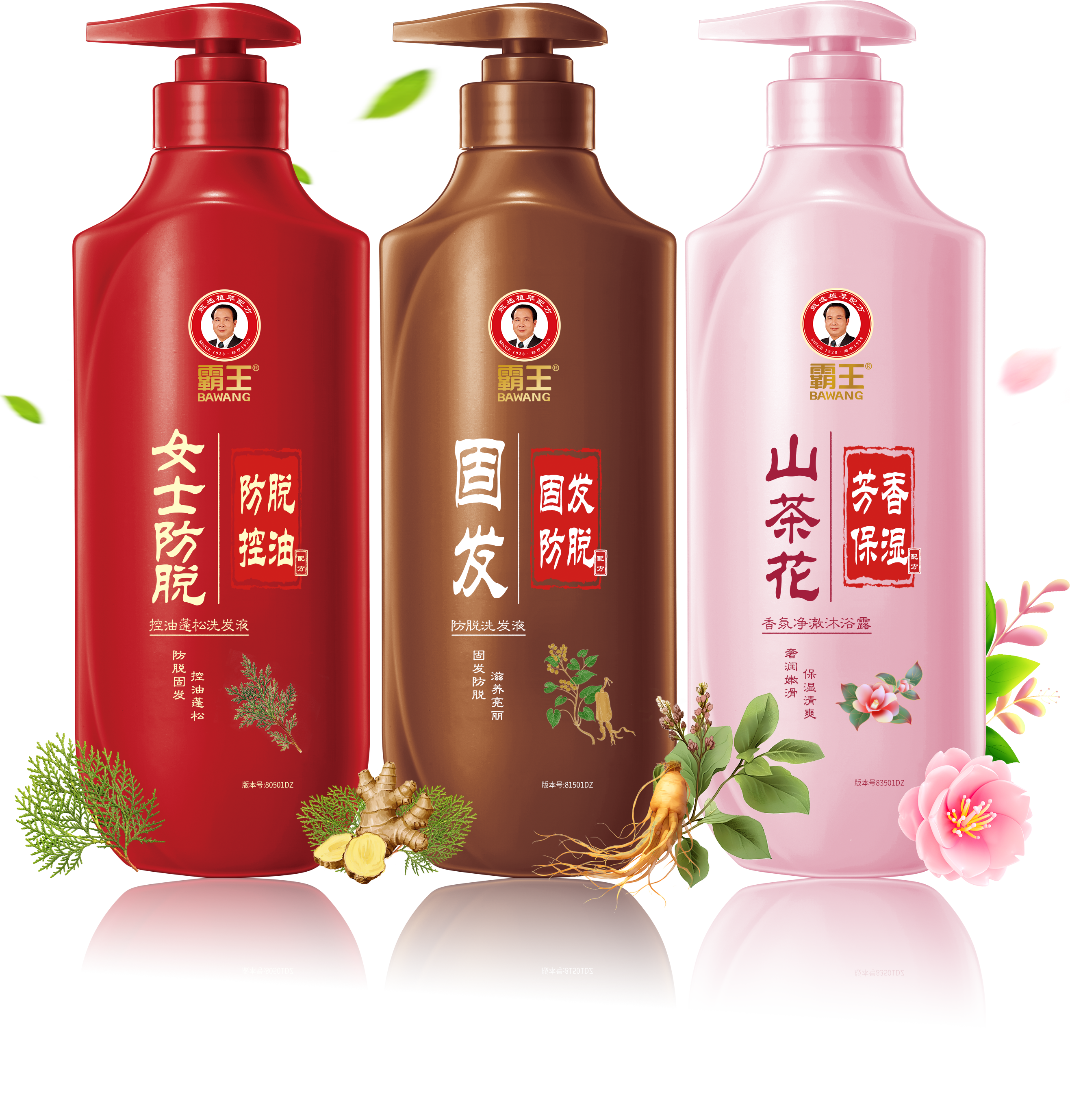 霸王系列產品組合圖.png